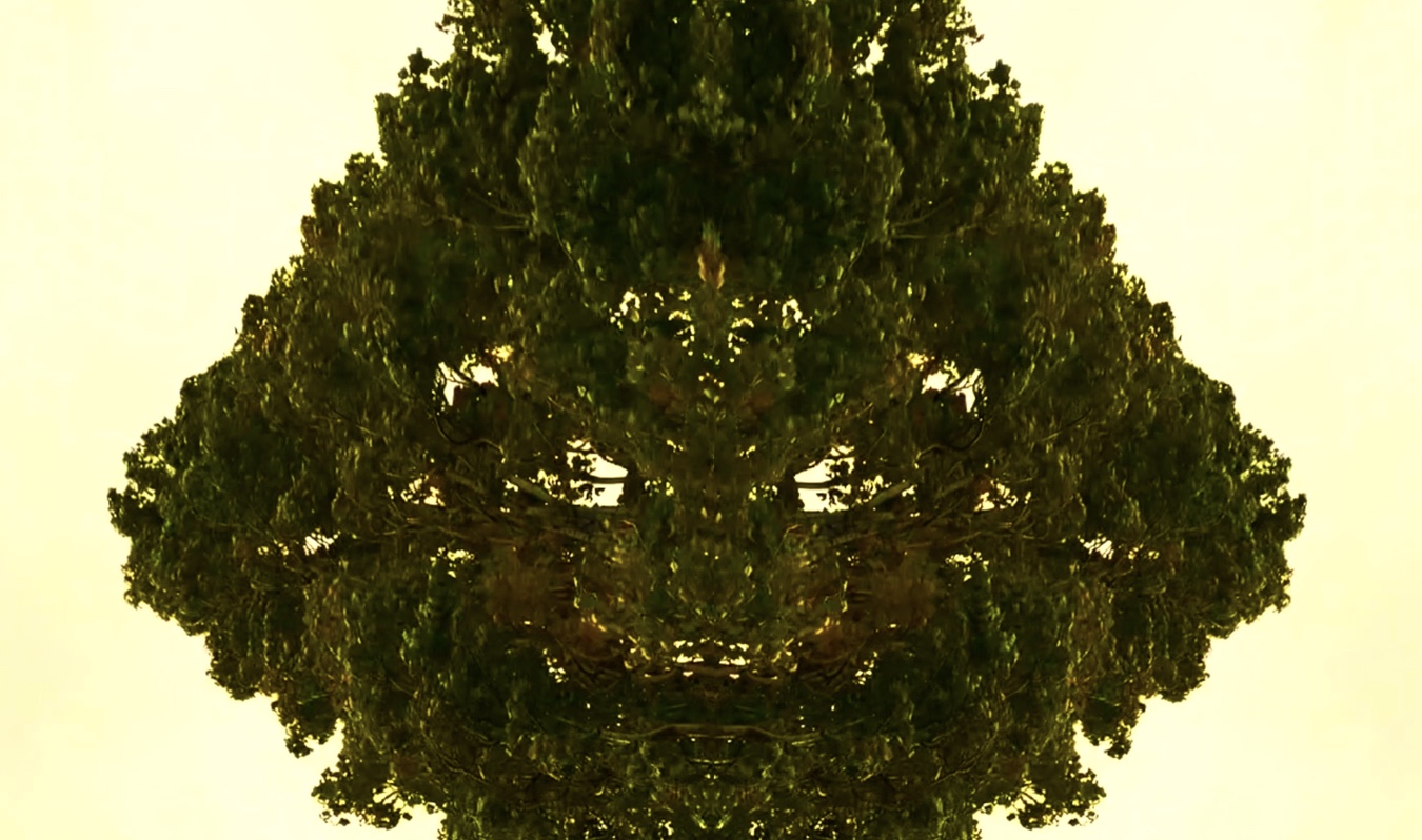 Tree Spirit. Click image for video link.